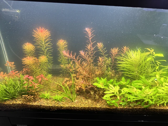 Oregon Aquarium