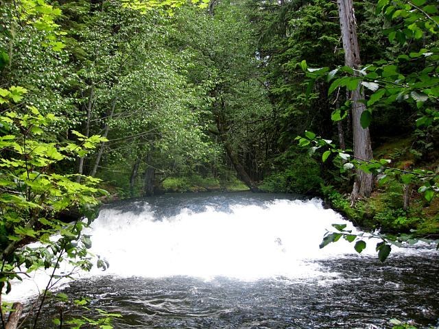 Waterfall Trail